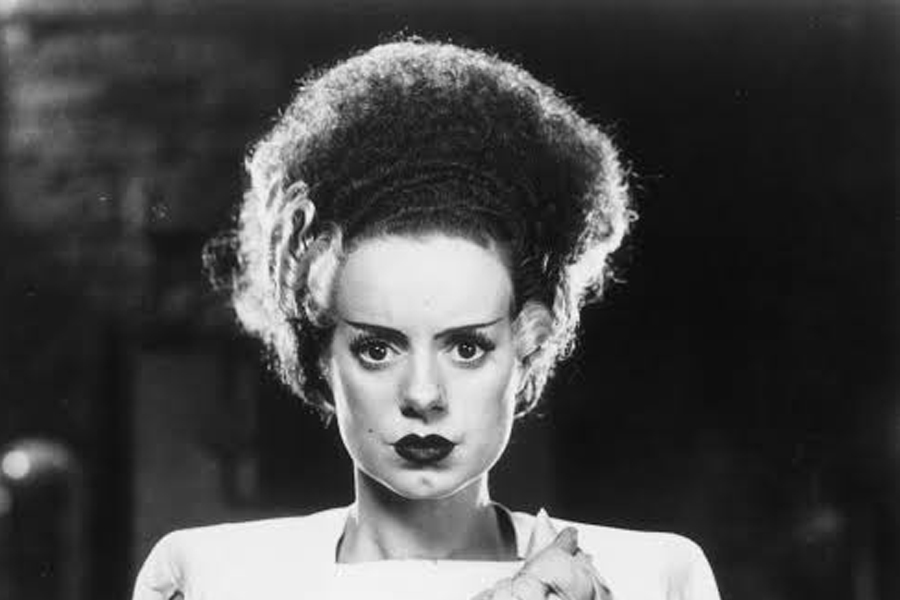 elsa lancaste